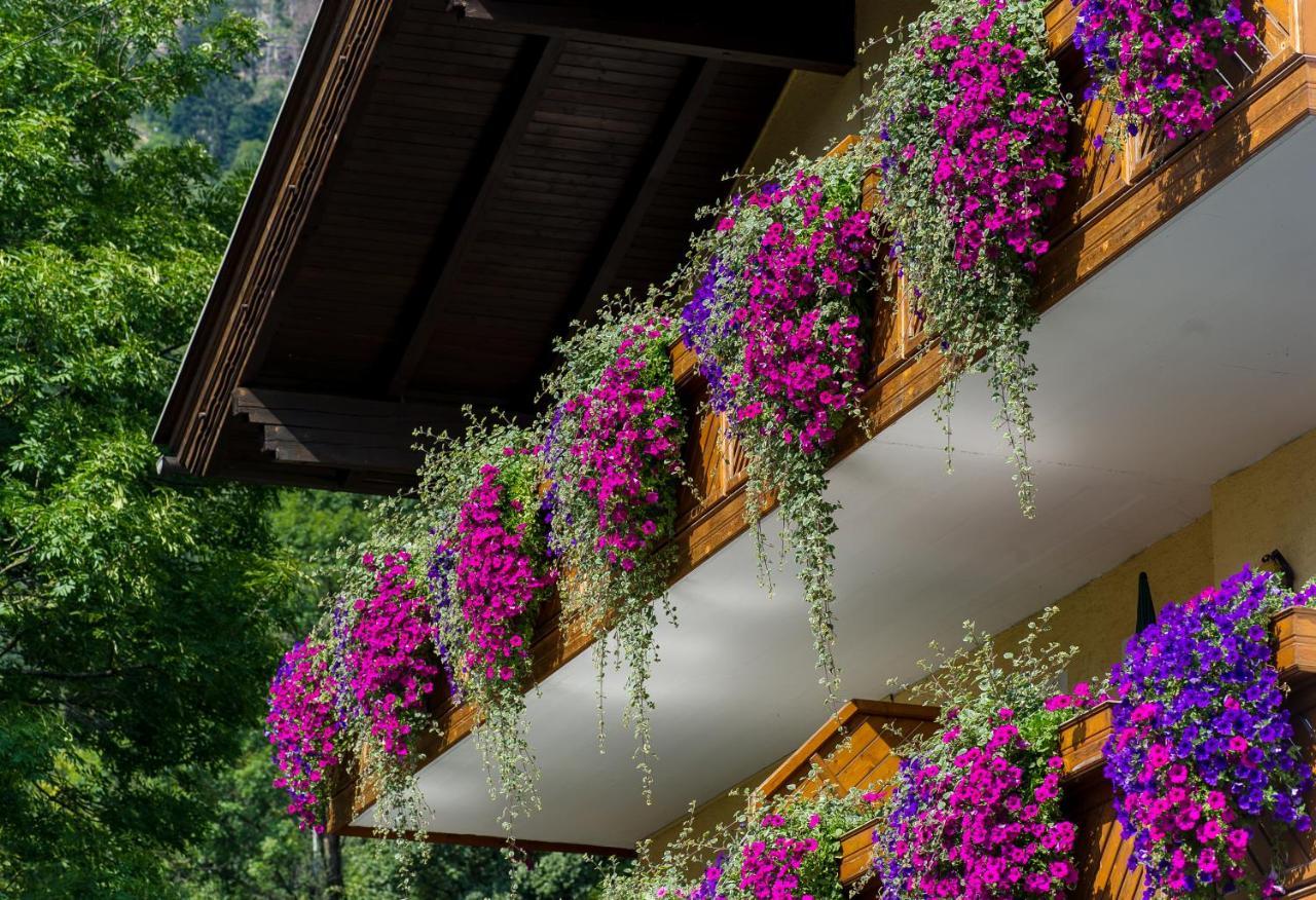 Kirchenwirt Gasthof *